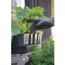 Nelson Garden Anzuchtschale Solid 14 x 68 cm