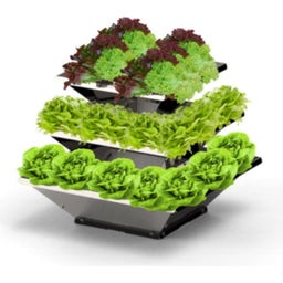 Avant Garden Raised Bed - 