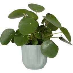 elho vibes fold rond 16 cm