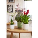 elho vibes fold rond 16 cm - sorbet groen