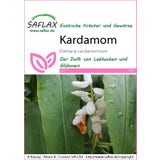 Saflax Kardamom