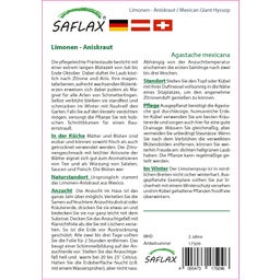Saflax Mexikói izsópfű