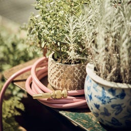 Livlig Messing Gartenspritze Goldie - 1 Stk.