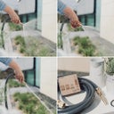 Livlig Messing Gartenspritze Goldie - 1 Stk.