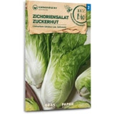 Samen Maier Cicoria Bio - Zuckerhut