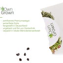 Own Grown Smrekovec opadavý