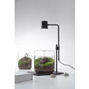 Bioloark Lampa Wabi-Kusa DX-5B - 1 szt.