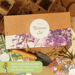 Loveplants Štartovacia sada na pestovanie bonsajov