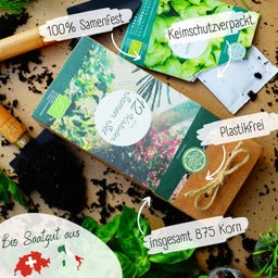 Loveplants Bio fűszernövény magok készlet