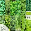 Loveplants Bio fűszernövény magok készlet