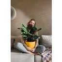 elho jazz kerek 14 cm - Borostyánsárga