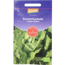 Kopfsalat Victoria 