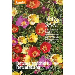 ReinSaat Praktportlak 