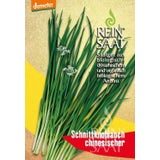 ReinSaat Erba Cipollina Cinese