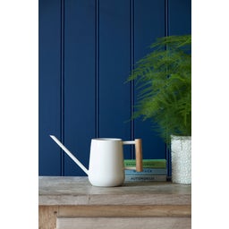 Regadera Pequeña para Plantas de interior 