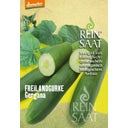 ReinSaat Salatgurke 