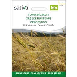 Sativa Bio žito 
