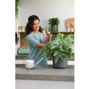elho b. for soft sprayer 0,6 ltr - Lichtroze