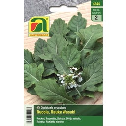 AUSTROSAAT Rúcula Wasabi