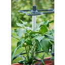 Gusta Garden Chili Buddy - Set de 3 - 1 pieza
