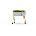 Sammy Salad - Carré Potager Surélevé | Sans Couvercle - Gris clair