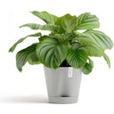 Ecopots Venice 2 Pflanztopf weißgrau - Ø 40 cm, Höhe 35 cm