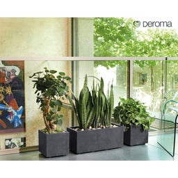 Vaso Millenium con Serbatoio d'Acqua - 59 cm - Antracite