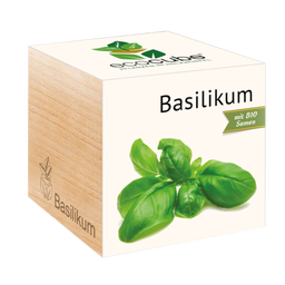 Feel Green ecocube 