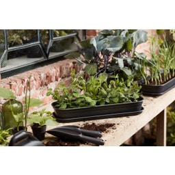 elho green basics Cultivation Set - Black - Size S