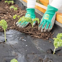 Own Grown Gartenvlies - 10 m²